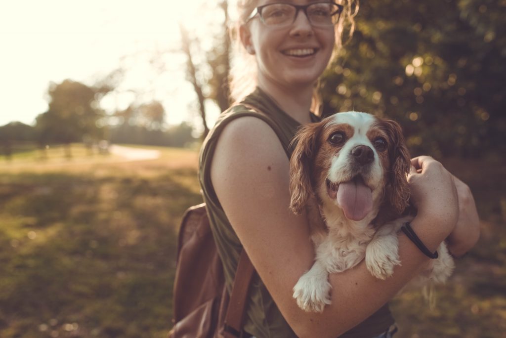 Chien-heureux-dans-des-bras